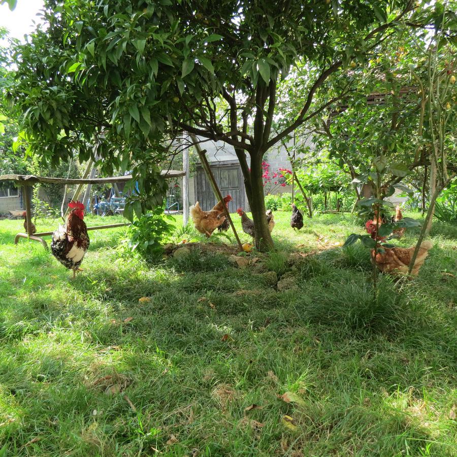 Agroturismo La Casona De Belmonte Ovinana  Extérieur photo