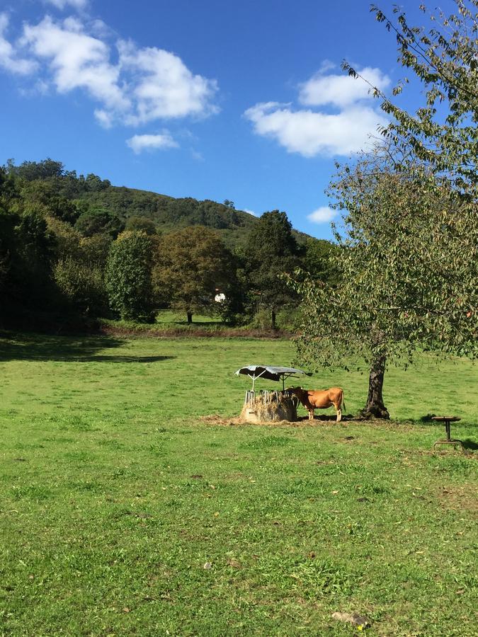 Agroturismo La Casona De Belmonte Ovinana  Extérieur photo